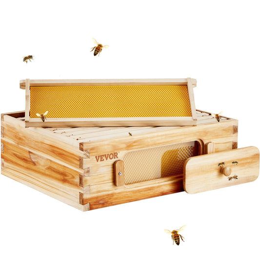 Bee Hive Medium Box Starter Kit, 100% Beeswax Coated Natural Cedar Wood, Langstroth Beehive Kit with 10 Frames and Foundations, Transparent Acrylic Bee Windows for Beginners and Pro Beekeepers